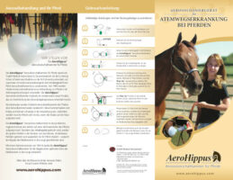 Abbildung der AeroHippus Broschüre